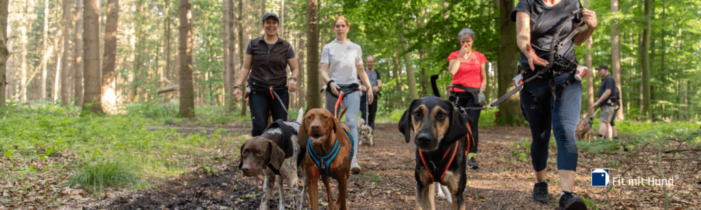 Caniwalk in der Gruppe
