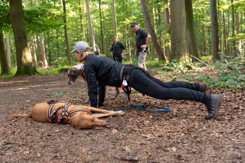 Liegestütz, Hund schläft