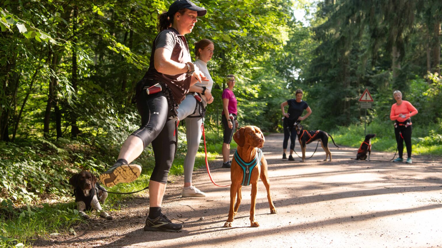 Training mit Hund auf dem Waldweg
