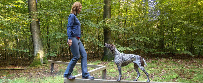 Mit dem Trainingsplan für Hund und Halter macht‘s mehr Spaß
