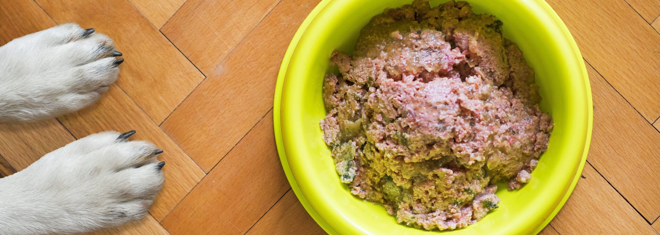 Bei der Ernährung für aktive Hunde kommt es auf den Mix an